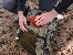 16" Tracer Evo Camo 25L